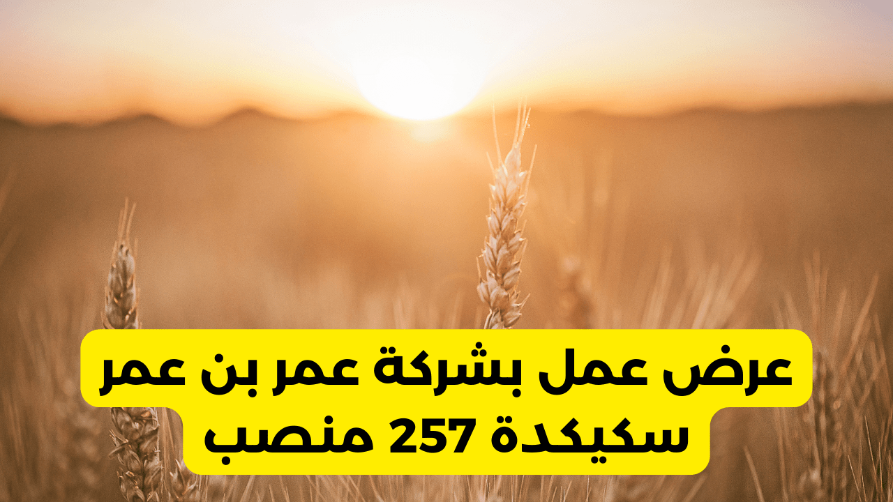 عرض عمل بشركة عمر بن عمر سكيكدة 257 منصب